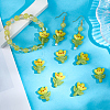 12Pcs Handmade Lampwork Beads LAMP-PA0001-01-3