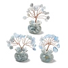 Natural Jade DJEW-Z007-02N-1