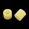 Maxi Fuse Beads DIY-R013-10mm-A19-1