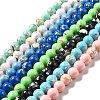 Synthetic Turquoise and Sea Shell Assembled Beads Strands G-D482-01B-1