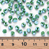 8/0 Two Tone Opaque Glass Seed Beads SEED-T006-01C-A08-5