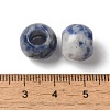 Natural Blue Spot Jasper Gemstone European Beads G-N342-03D-3