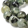 Natural Prehnite Beads Strands G-G457-10mm-03-7