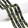 Natural Canadian Jade Beads Strands G-G980-49A-2