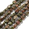 Natural Unakite Beads Strands G-P497-01E-48-1