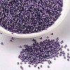 MIYUKI Delica Beads SEED-MY11-DB0430-1