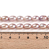 Natural Cultured Freshwater Pearl Beads Strands PEAR-N012-AA-03-5