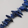 Natural Lapis Lazuli Beads Strands G-TAC0005-02D-1