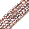 Natural Cultured Freshwater Pearl Beads Strands PEAR-I007-01P-04A-2