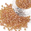 8/0 Round Glass Seed Beads SEED-US0003-3mm-169-1