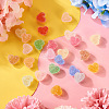  24Pcs 12 Colors Resin Beads RESI-TA0002-46-5