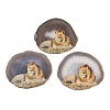 Printed Natural Agate Slice Stone Ornament DJEW-M011-04E-1