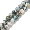 Natural Tree Agate Beads Strands G-S281-15-10mm-5