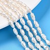 Natural Cultured Freshwater Pearl Beads Strands PEAR-N014-04H-1