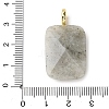 Natural Labradorite Faceted Pendants X-G-B186-01G-01-3