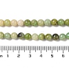 Natural Serpentine Bead Strands G-N166-6-1-5