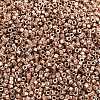 MIYUKI Delica Beads SEED-MY11-DB2504-2