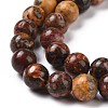 Natural Red Leopard Skin Jasper Beads Strands GSR066-3