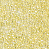 Glass Seed Beads SEED-S042-11A-05-3