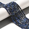 Natural Lapis Lazuli Beads Strands G-Z035-A01-02C-5