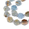 Natural Blue Calcite Beads Strands G-P534-A24-02-3