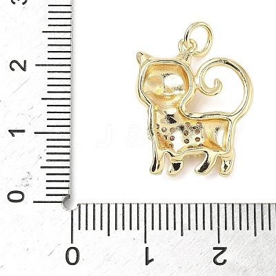 Brass Micro Pave Cubic Zirconia Pendants ZIRC-I356-03G-02-1