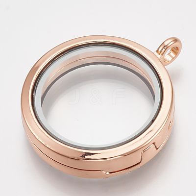 Alloy Magnetic Locket Pendants PALLOY-T052-23RG-1