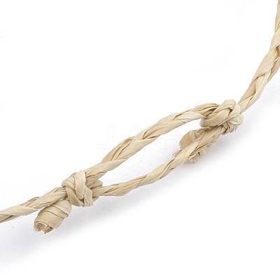 Handmade Braided Raffia Bracelets AJEW-S072-39D-1