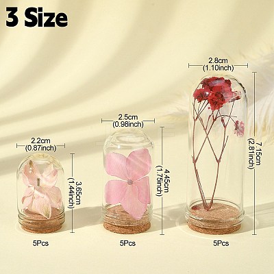 15Pcs 3 Styles Glass Dome Cloche Cover AJEW-YW0001-08-1