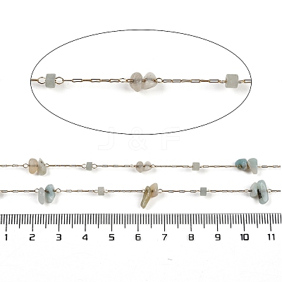 Ion Plating(IP) 316 Surgical Stainless Steel Chains AJEW-Q153-01F-1