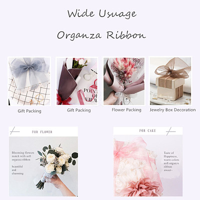 Organza Ribbon RS6mmY040-1