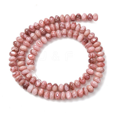 Natural Sea Shell Beads Strands SHEL-K006-75-1