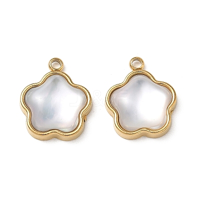 Natural Freshwater Shell Pendants STAS-G397-12G-01-1