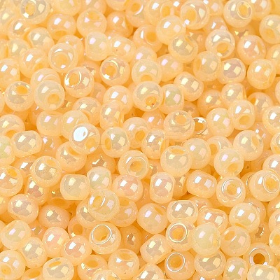Glass Seed Beads SEED-H002-H-1307-1