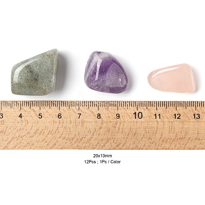 12Pcs No Hole/Undrilled Natural Gemstone Beads G-FS0001-28-1