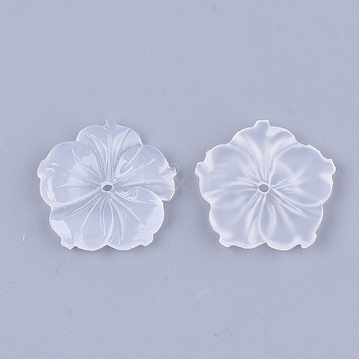 Translucent Resin Beads X-RESI-T040-002B-1