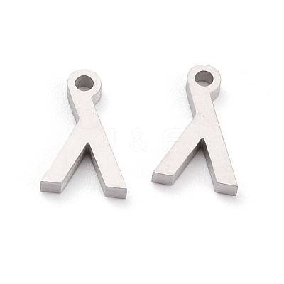 Non-Tarnish 304 Stainless Steel Pendants STAS-F267-10L-P-1