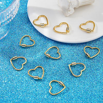 10Pcs Zinc Alloy Screw Carabiner Lock Charms FIND-DC0008-30-1