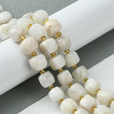 Natural Moonstone Beads Strands G-Q010-A05-01-1