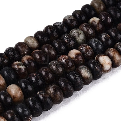 Natural Biotite Beads Strands G-N367-02A-15-1