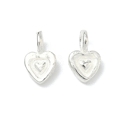 925 Sterling Silver Charms STER-A050-02B-S-1