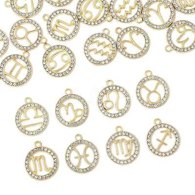 24Pcs 12 Styles Zinc Alloy Crystal Rhinestone Pendants FIND-FS0004-40-1