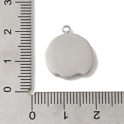 304 Stainless Steel Pendants STAS-B074-08P-12-1