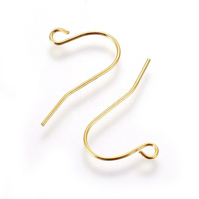 Iron Earring Hooks IFIN-T001-04G-NF-1