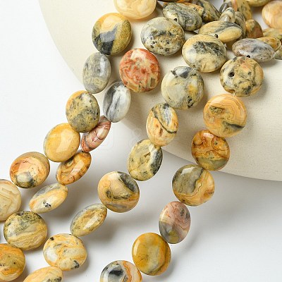 Flat Round Natural Crazy Lace Agate Beads Strands G-S110-05-1