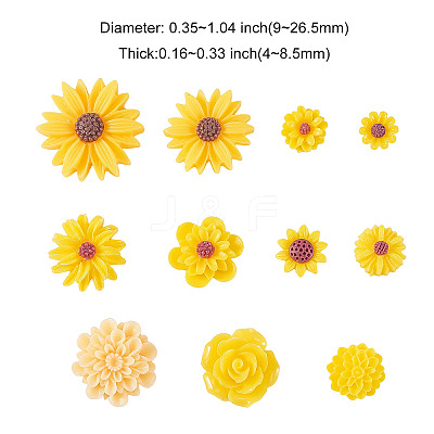 Resin Cabochons CRES-CJC0005-01B-1