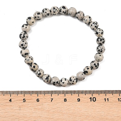 Natural Dalmatian Jasper Jasper Round Beaded Bracelets X-BJEW-G073-16-1