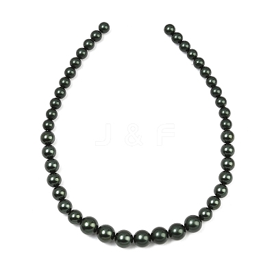 Electroplated Shell Pearl Graduated Beads Strands BSHE-C011-04-02-1