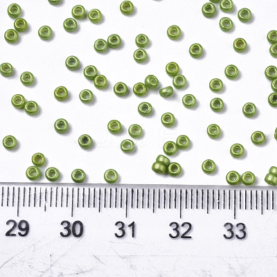 Frosted Opaque Glass Seed Beads X-SEED-S042-06A-02-1