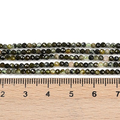 Natural Prehnite Beads Strands G-L628-B11-2mm-1